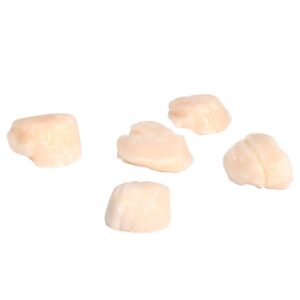 Dry Sea Scallops | Raw Item