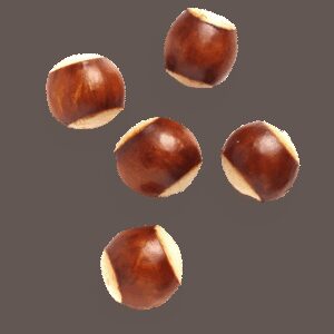 Pretzel Bites | Raw Item