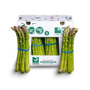 Large Asparagus | Styled