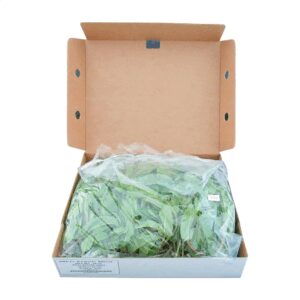 Mint Leaves | Packaged