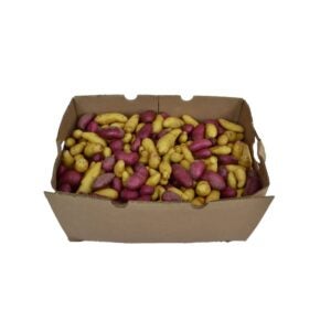 Mixed Fingerling Potatoes | Packaged