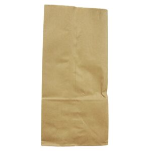 5.25 x 3.13 x 10.87 Inch Paper Bags | Raw Item