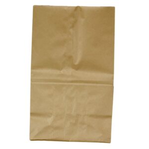20# Brown Paper Bags | Raw Item