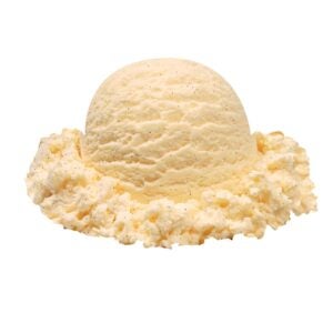 Vanilla Bean Ice Cream | Raw Item