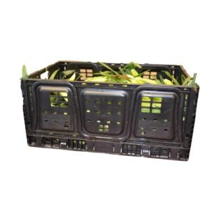 Sweet Corn | Corrugated Box