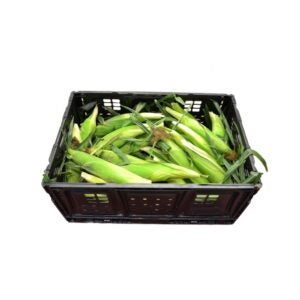 Sweet Corn | Packaged