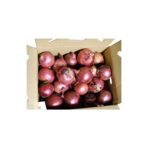 Jumbo Red Onions | Packaged