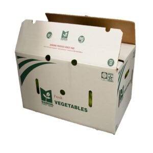 Large Green Peppers | Packaged