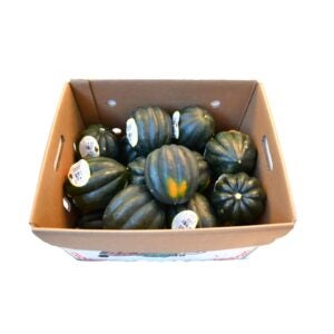 Acorn Squash | Packaged