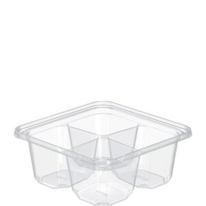 4 Compartment Plastic Containers | Raw Item
