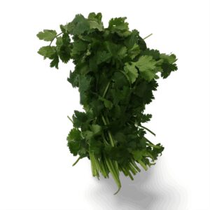 Cilantro | Raw Item