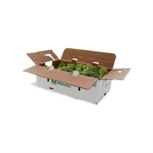 Sweet Baby Broccoli | Packaged