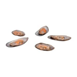 Half Shell Mussels | Raw Item