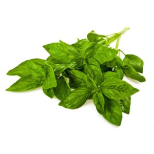 PROD FRESH HERB BASIL 4OZ-BABX | Styled