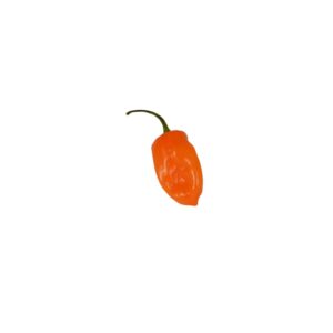PROD FRESH PEPPER HABANERO | Raw Item