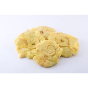 Plantain Patty Tostones | Styled