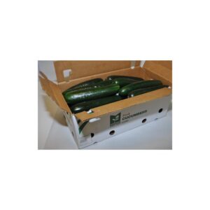 Cucumbers | Packaged