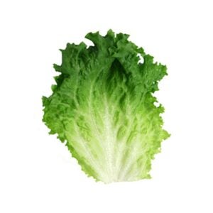 Green Leaf Fillets/Crowns | Raw Item