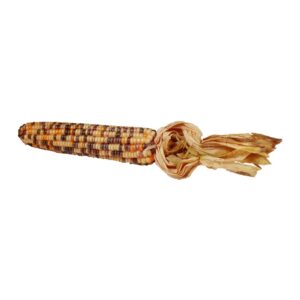 Indian Corn | Raw Item