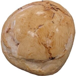 Golden Breaded Chicken Tenderloins | Raw Item