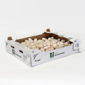 Button Mushrooms | Packaged