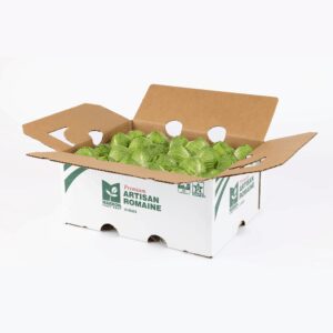 Mini Romaine Lettuce | Packaged