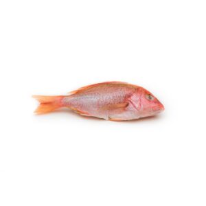 Whole Red Snapper | Raw Item