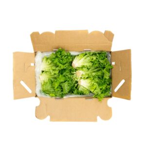 Leaf Lettuce | Packaged