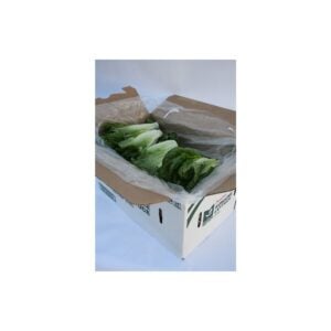 Romaine Lettuce | Packaged