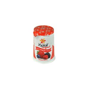 Original Low Fat Mixed Berry Yogurt | Packaged
