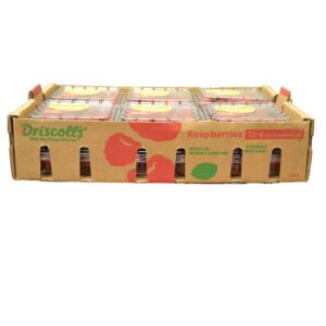 Fresh Red Raspberries | Corrugated Box