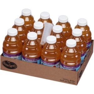 100% Pineaaple Juice Bar-Pac Mixer | Packaged