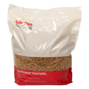 Sunflower Kernels | Packaged