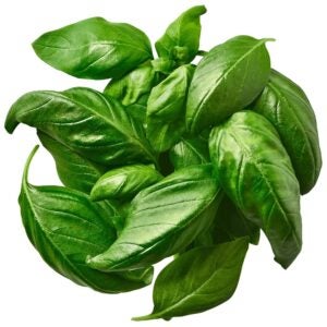 Fresh Basil | Raw Item