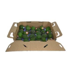 PROD FRESH AVOCADO-48CT FIRM | Packaged