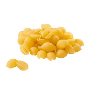 Medium Seashell Macaroni | Raw Item