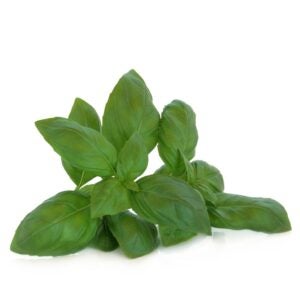 Basil | Raw Item