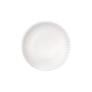 Paper Plates | Raw Item