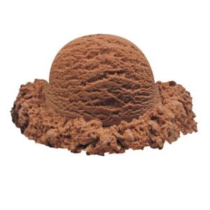 Chocolate Hard Pack Ice Cream | Raw Item