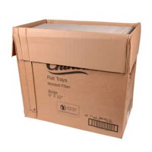 9 x 12 Inch Molded Fiber Flat School Trays, Beige | Packaged