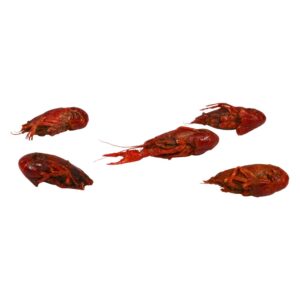 Crawfish | Raw Item