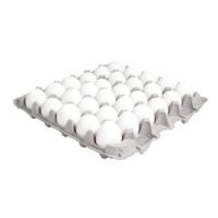 Fresh Large Eggs | Packaged