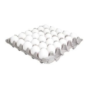Fresh Large Eggs | Packaged