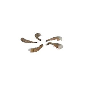 CONT MOLDED FBR 9X9X3″ WHT HNGD 150CT | Raw Item