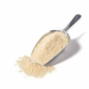 Garlic Powder Spice | Raw Item