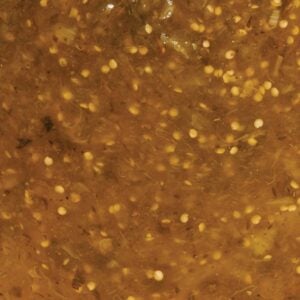 CHOLULA SALSA VERDE MLD 12Z | Raw Item