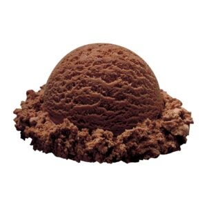 Chocolate Hard Serve Ice Cream | Raw Item