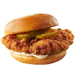 CHIX BRST FLLT BRD SPICY 5.7Z 2-5# | Styled