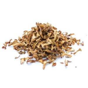 GRAPE RED SDLSS | Styled