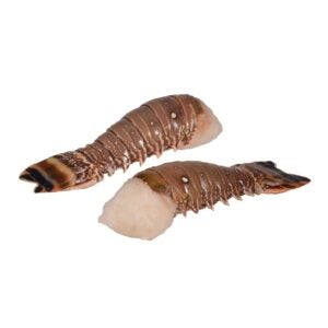 Caribbean Lobster Tails | Raw Item